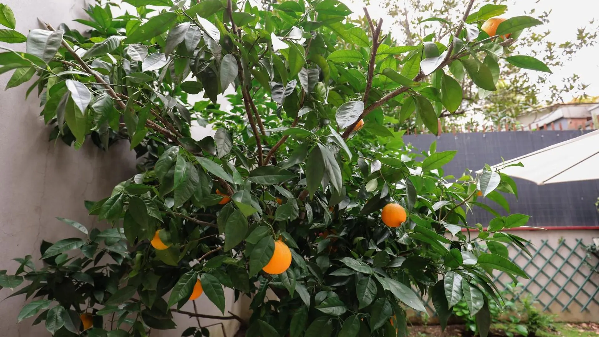 Giardino Terrazzo Privato Bilocale Moderno Vicino Metropolitana Comodo Per Niguarda E Centro Milán
