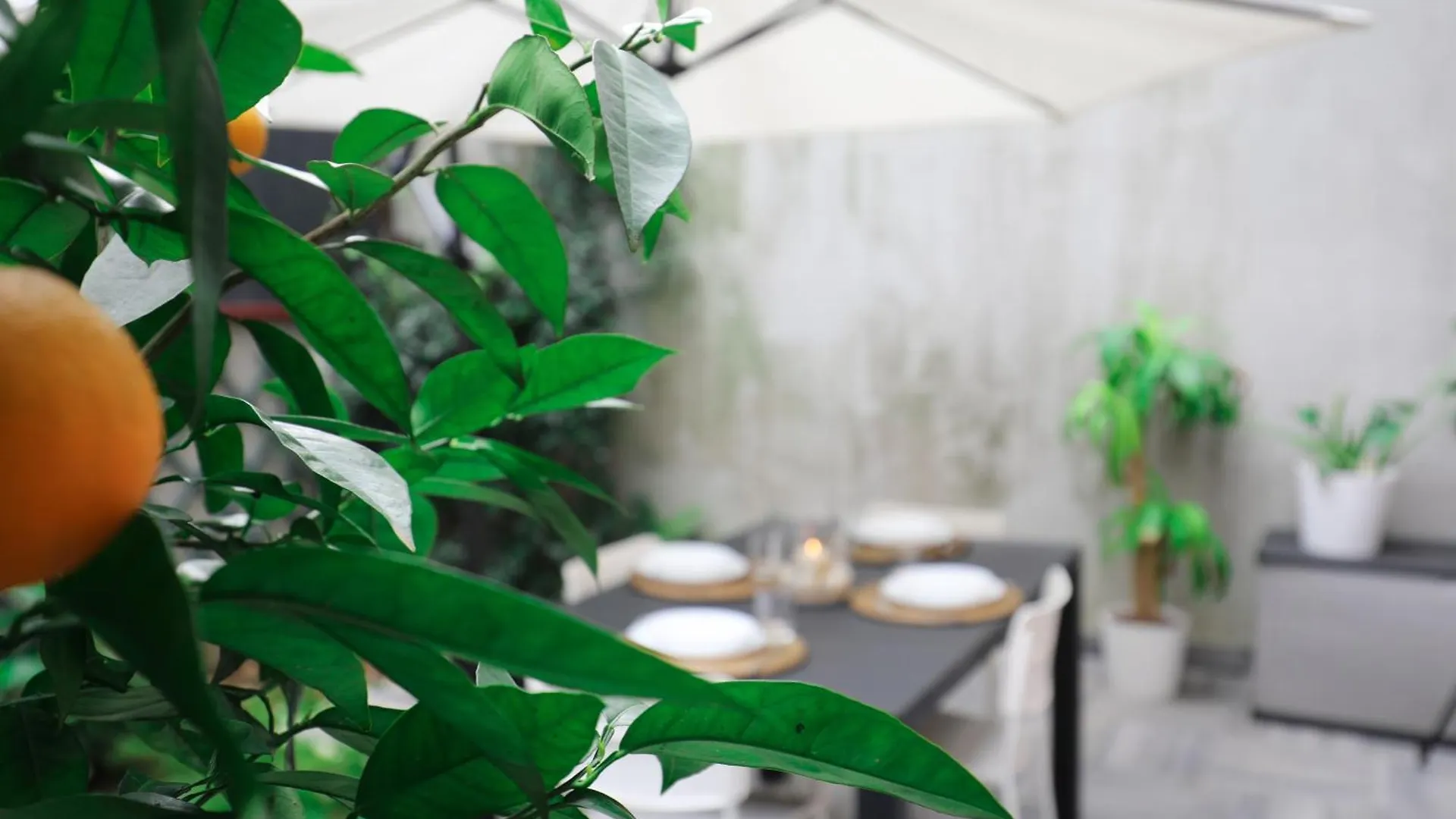 Giardino Terrazzo Privato Bilocale Moderno Vicino Metropolitana Comodo Per Niguarda E Centro Милан 0*,  Италия